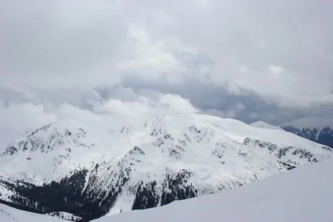 Sneeupieke slaap tot die lente