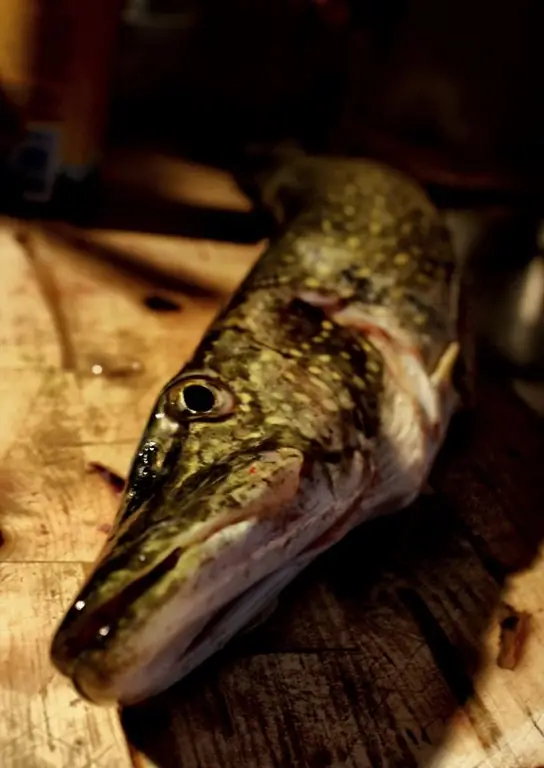 How to make a stuffed pike