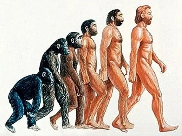 Evolución biológica