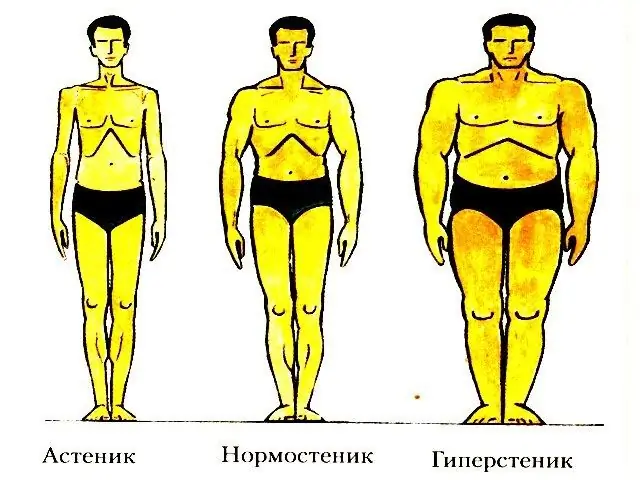 Адам денесінің түрі