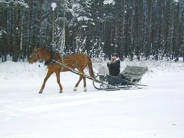 Kako napraviti konjske saonice