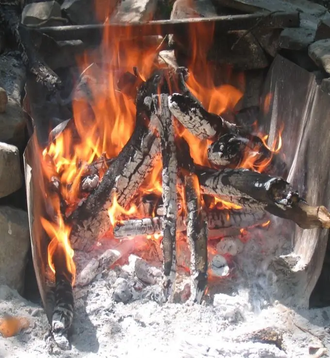 Come accendere il fuoco nella foresta: lezioni di sopravvivenza