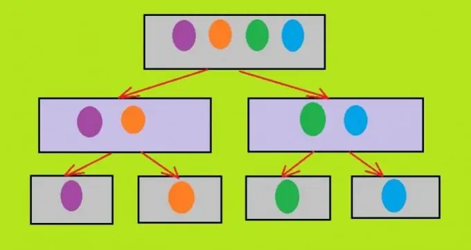 Elaboração de uma classificação