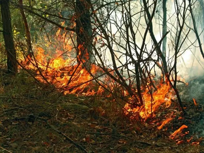 Hur man visar kartan över bränder i Ryssland