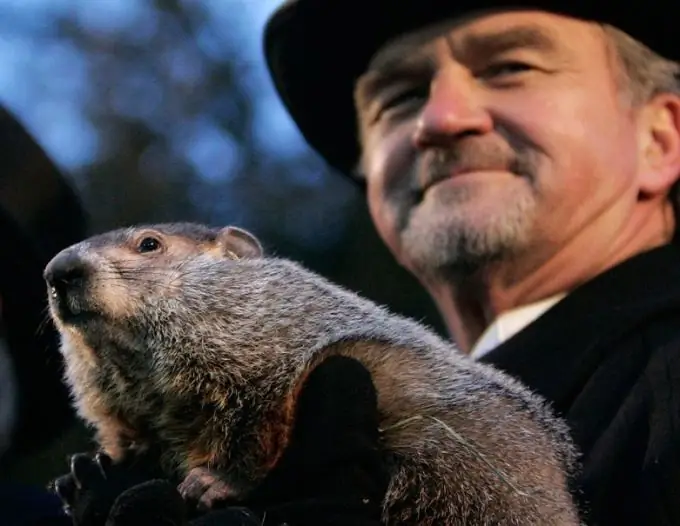 Marmot Phil - die beroemde "weervoorspeller" van ons tyd